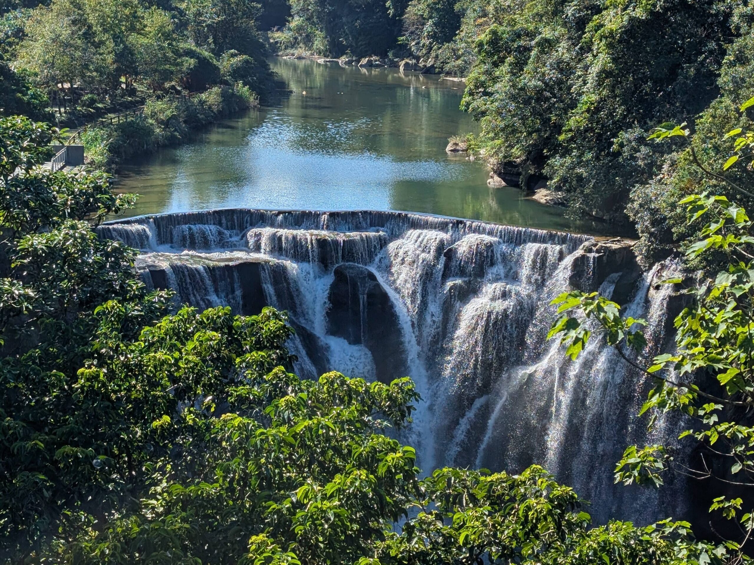 Waterfall surrounded by forest