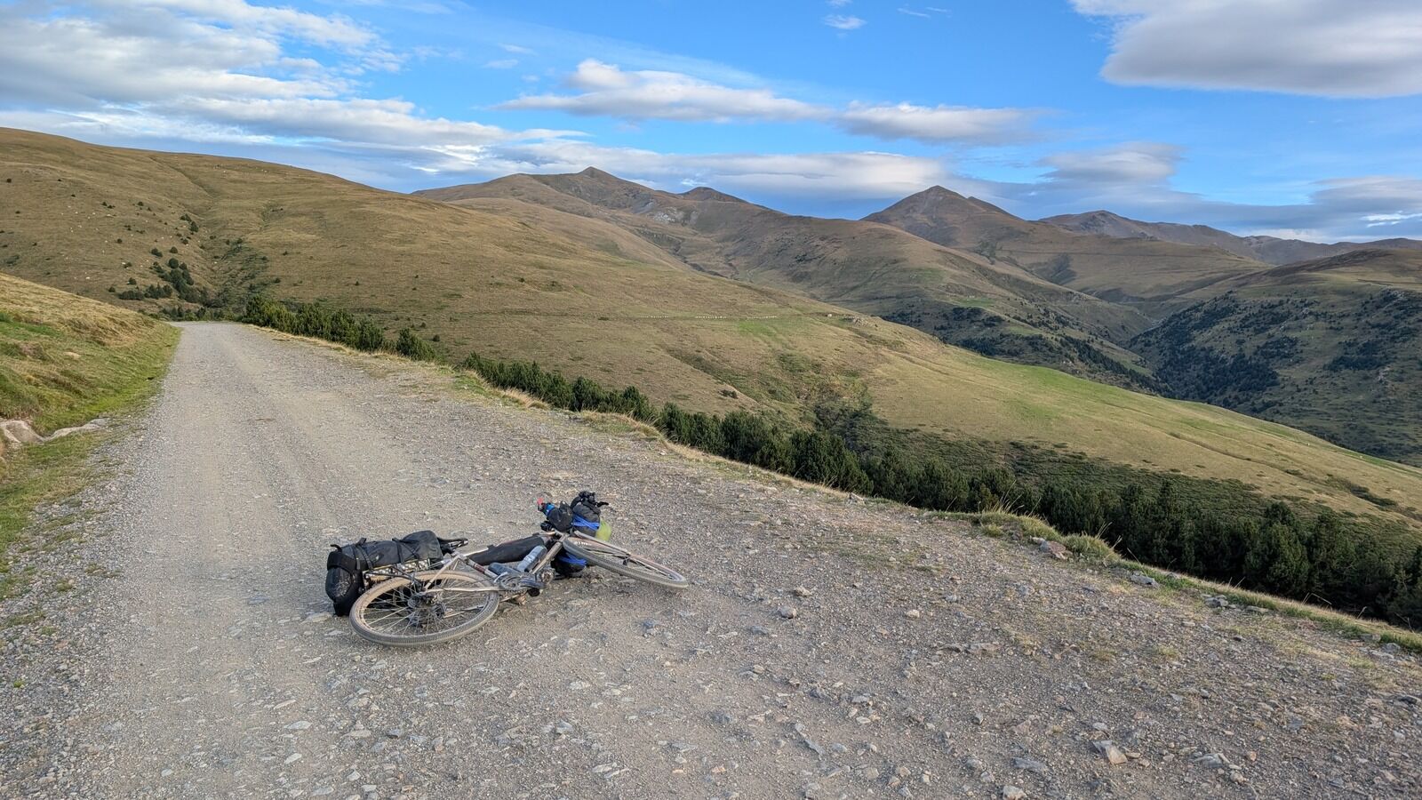 Newsletter #33: Unexpected Obstacles and a Premature Return Home